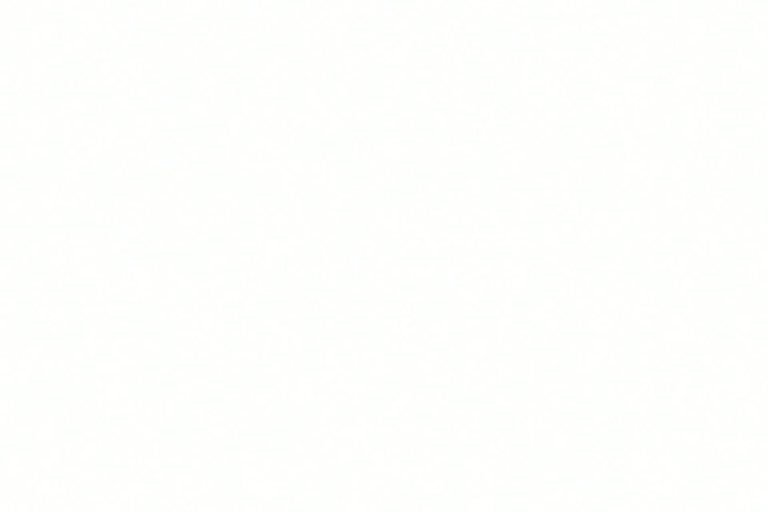 blank white image
